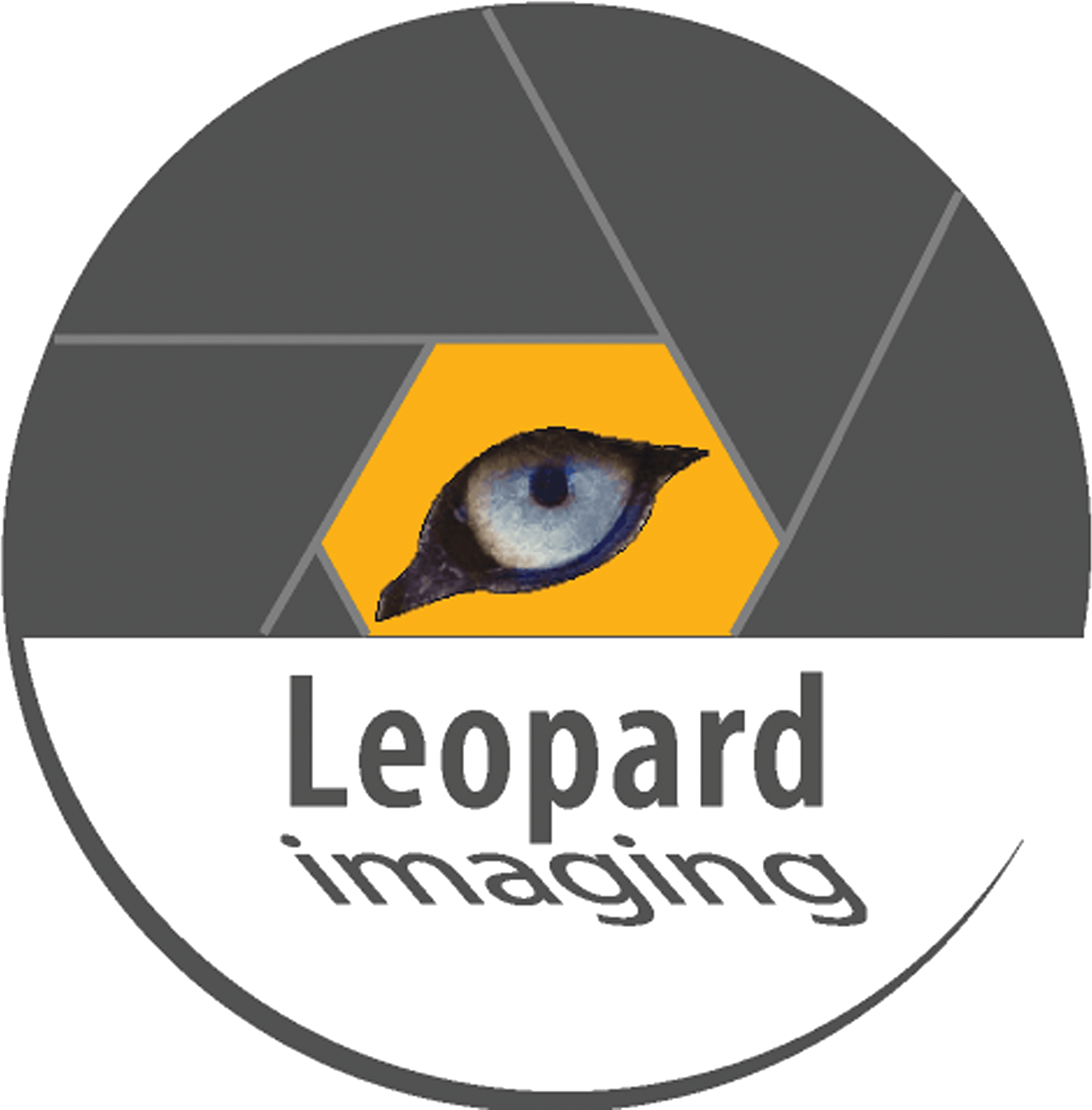 Leopard Imaging Inc. LOGO